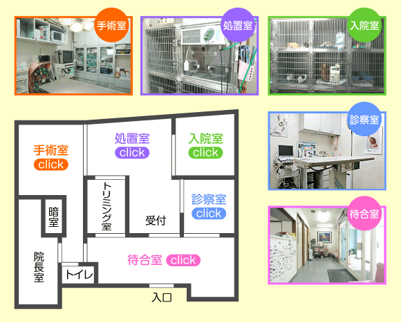 むかい猫と犬の病院　平面図