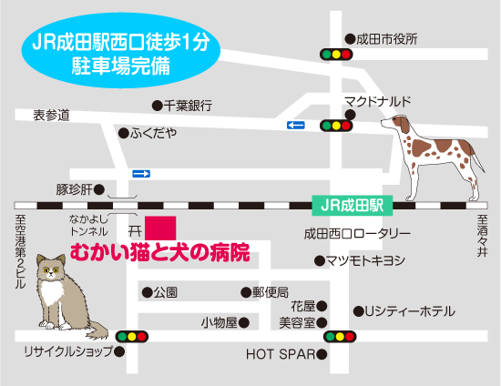 むかい猫と犬の病院 地図