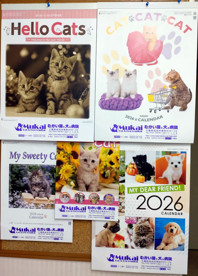 2026年度カレンダープレゼント中！