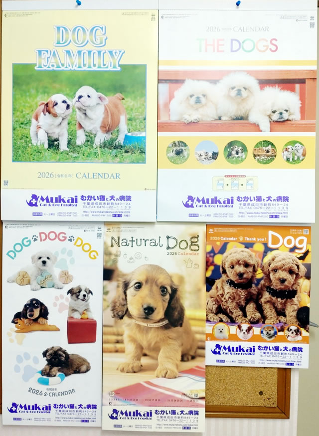 2026年度カレンダープレゼント中!